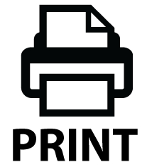 print icon1